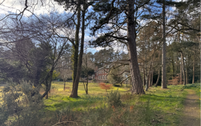 Spring 2025 Newsletter