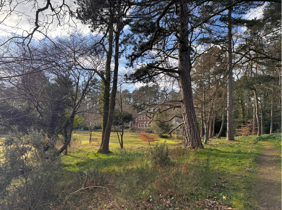 Spring 2025 Newsletter