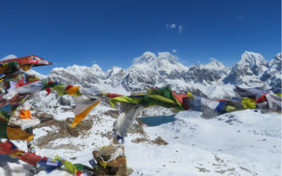 Winter 2026 Newsletter