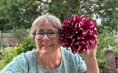Late Summer 2026 Newsletter